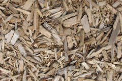 biomass boilers Cleestanton